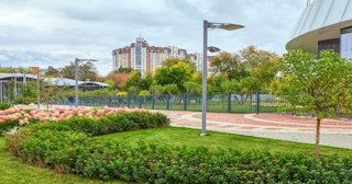 Профессиональное озеленение улиц в Липецке в октябре