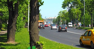 Посадка деревьев и кустарников в Липецке — стоимость от 1247 руб.